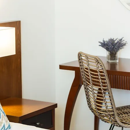 ホテル Theartemis Palace